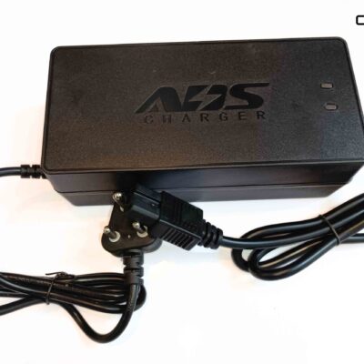 72V/10A 24S Lithium Iron Phosphate/Li Ion/Lead acid charger (87.6V)
